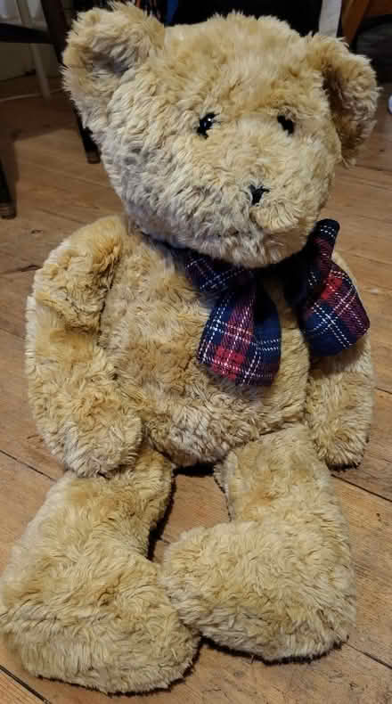 Photo of free Teddy looking for a new home (Osney OX2) #1