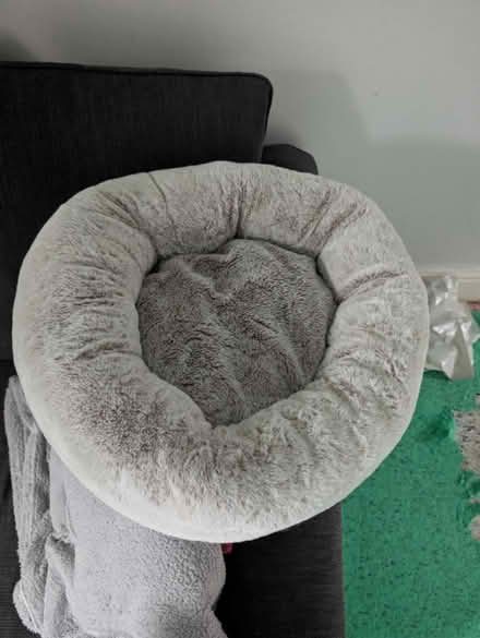 Photo of free Pet snuggle basket (Kings Norton) #1