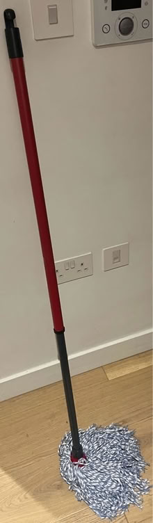 Photo of free Mop (N1) #2