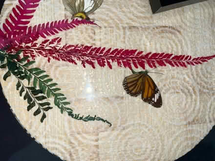 Photo of free Five picture frames (Cannonmills EH7) #3