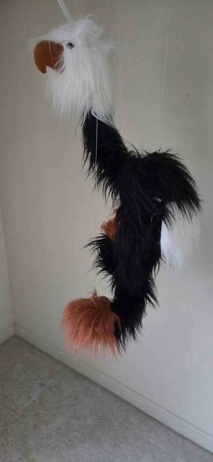 Photo of free Eagle Marionette (Crofton, near the high school.) #1