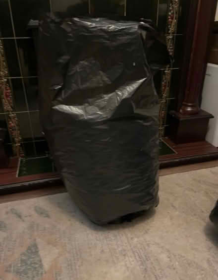 Photo of free Blackbag of eco packing peanuts (edgbaston B16) #2