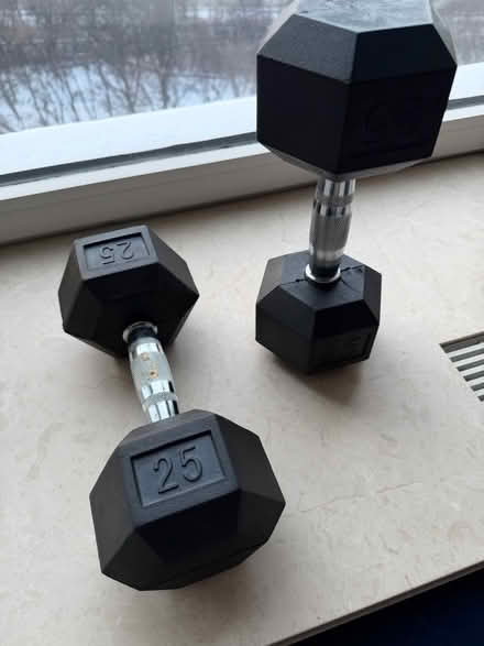 Photo of free 2 Twenty five pound weights (Upper West side. West 83.) #1
