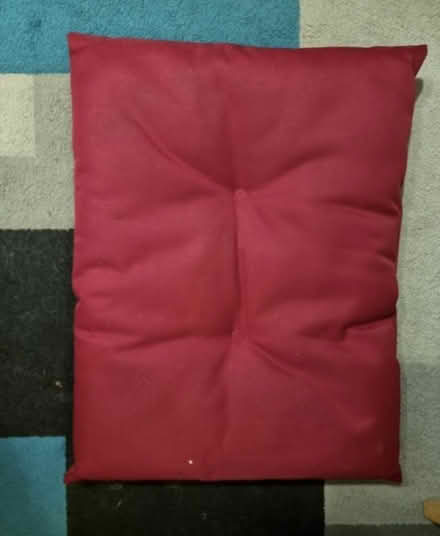 Photo of free Dog bed cushion (Steventon OX13) #1
