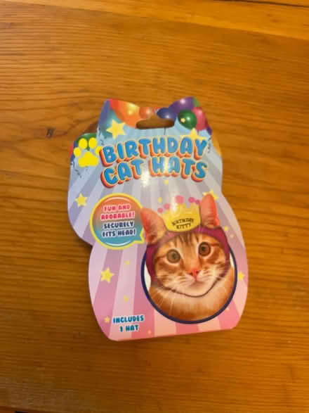 Photo of free birthday hat for a cat (Wedgwood) #1
