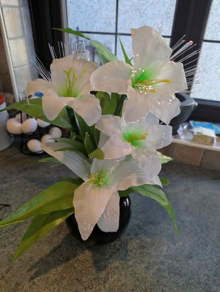 Photo of free Light up plant ornament (Sheffield S12) #3