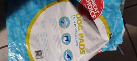 Photo of free puppy pads (33770) #1