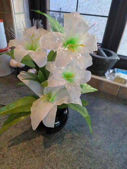 Photo of free Light up plant ornament (Sheffield S12) #2