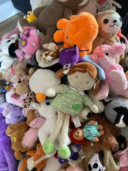 Photo of free Childrens Teddy Bundle 100+ (Horndon SS17) #4