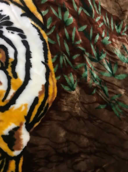 Photo of free Blanket (Northwood HA6) #1