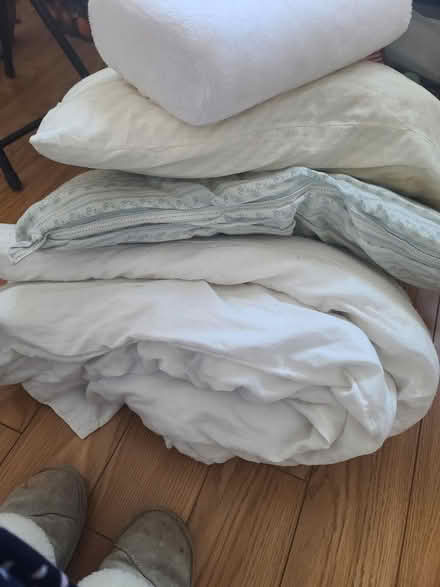 Photo of free Pillows and comforter old (Mississauga Ontario Canada) #1
