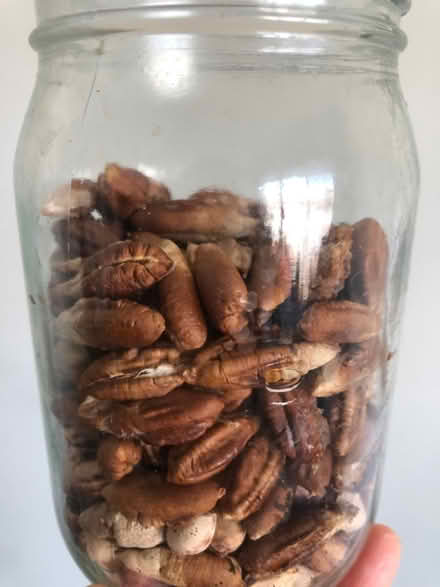 Photo of date pits (Edgewater) #1