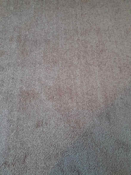 Photo of free Pale Pink Carpet Southsea (Southsea PO5 1HW) #1