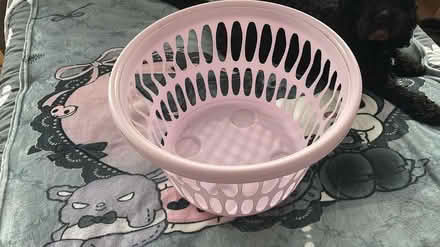 Photo of free Pink laundry basket (SE3 Blackheath) #1