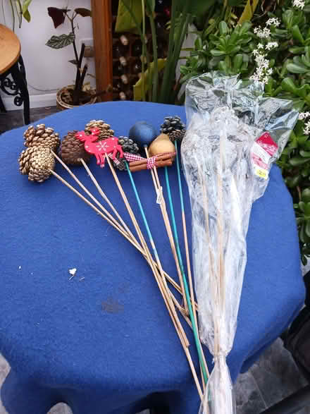 Photo of free Pine cone spikes (Rainham ME8) #1