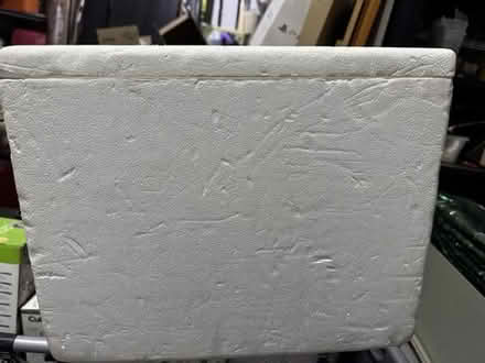 Photo of free foam container #1