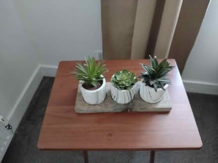 Photo of free Artificial plants (Dalkeith EH22) #1