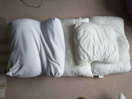Photo of free Old pillows (Loughton IG10) #1