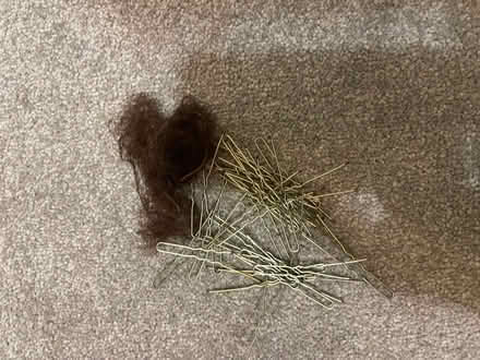 Photo of free hair bun net and pins (Kenilworth CV8) #1