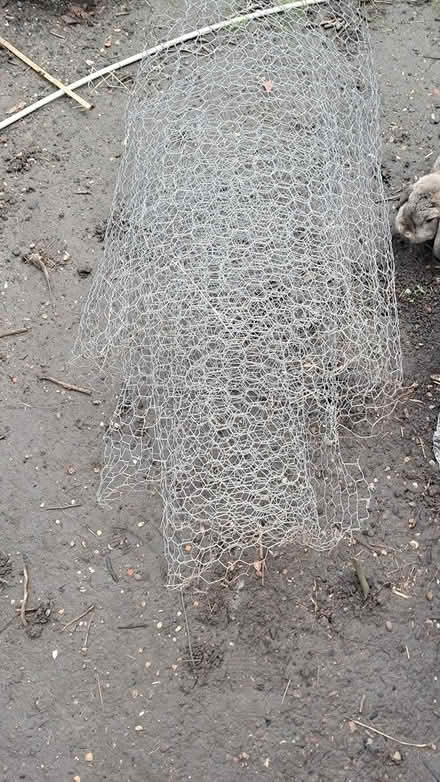 Photo of free OLD chicken wire (Holloway road N4) #3