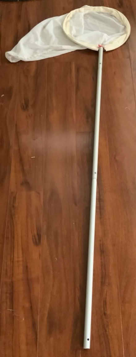 Photo of free Net for removing things from pool (Bowers x El Camino) #2