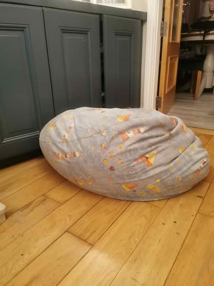 Photo of free Bean bag (Blarney) #1