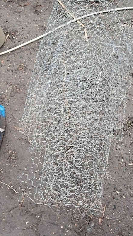 Photo of free OLD chicken wire (Holloway road N4) #2