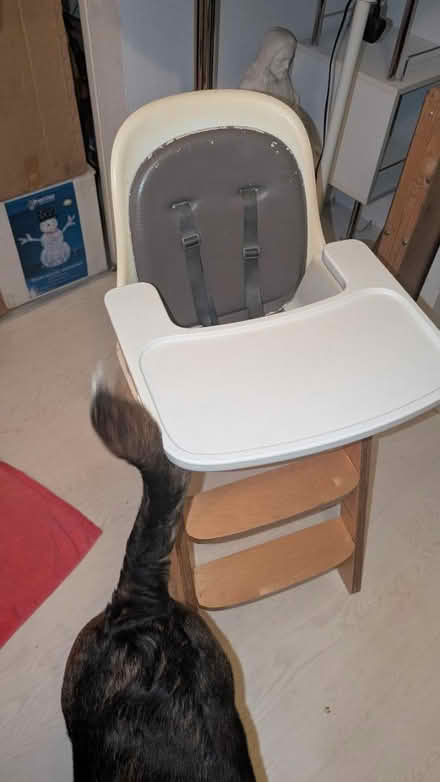 Photo of free High chair (NW3 London) #1