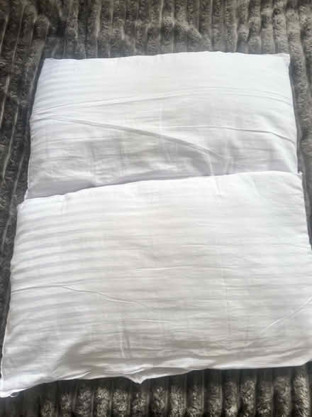 Photo of free Pillows (Rm17) #2