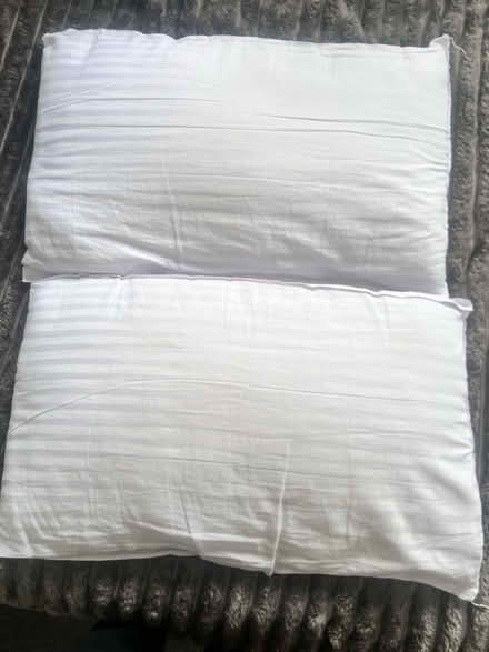 Photo of free Pillows (Rm17) #3