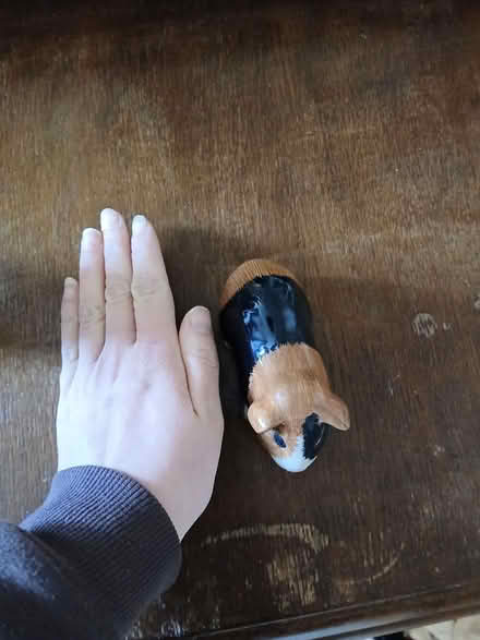 Photo of free Guinea pig ornament (PO19) #2