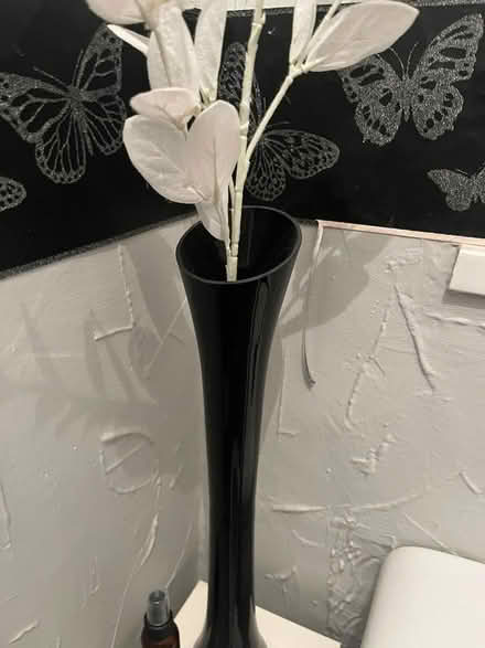 Photo of free Vase and Flowers (Ashton in Makerfield WN4) #3
