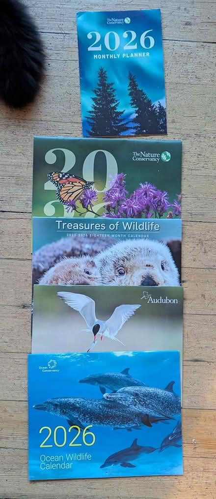 Photo of free 4 Wall calendars, 1 monhly (oakland) #1