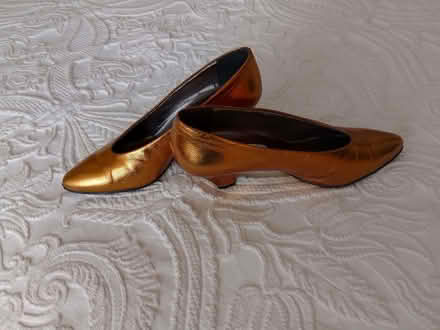 Photo of free Elegant Bronze Court Shoes Size 36 (Bexhill TN39) #2