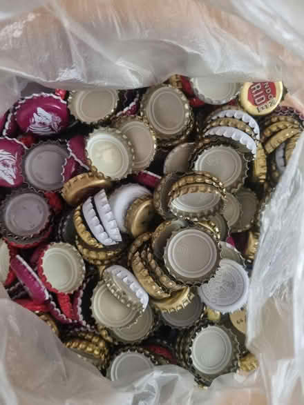 Photo of free Beer Caps (1000+) (Enfield EN3) #1