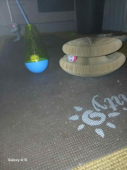 Photo of free Two unused cat toys (Seven dials) #1