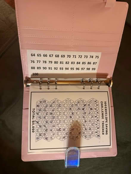 Photo of free $10,000 Envelope savings book (South Elgin) #3