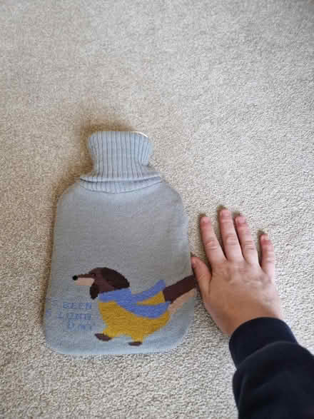 Photo of free Hot water bottle and cover (Bear Flat) #2