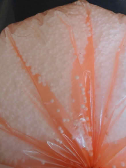 Photo of free Polystyrene balls (Syon Lane TW7) #1