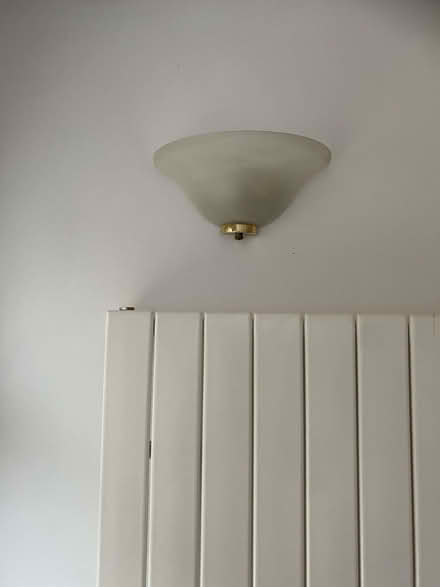 Photo of free Wall and Ceiling Lights (King's College Playing Fields HA4) #3