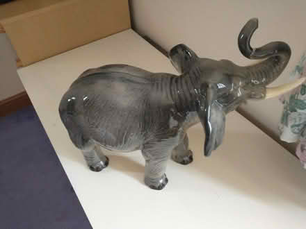Photo of free China Elephant (Presteigne LD8) #1