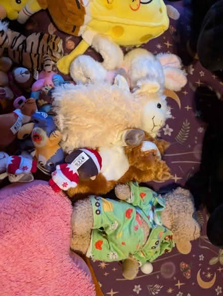 Photo of free Lots of teddies (CB22) #1