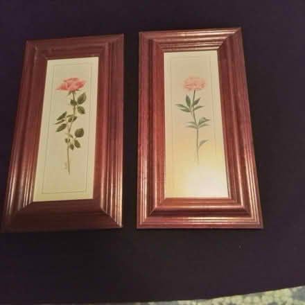 Photo of free Framed Prints of Flowers (Uplands / Riverside) #1
