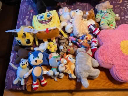 Photo of free Lots of teddies (CB22) #3