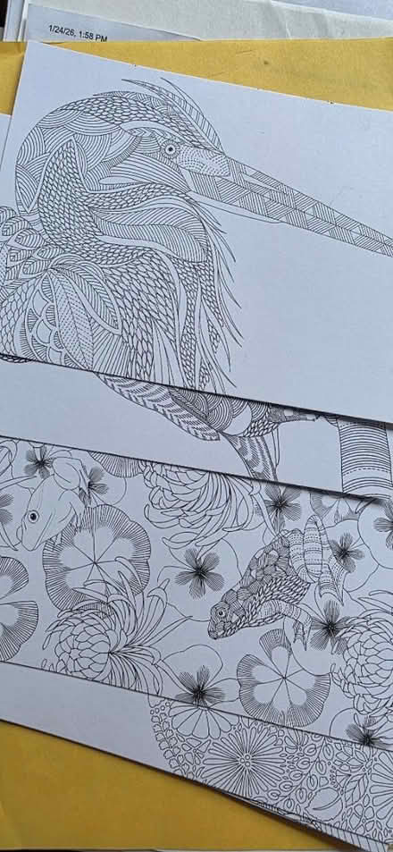 Photo of free 6 invitation cards + postcards (Maywood Park Santa Clara) #2