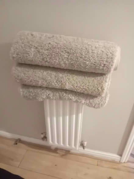 Photo of free 3x rugs (horsham RH12) #1