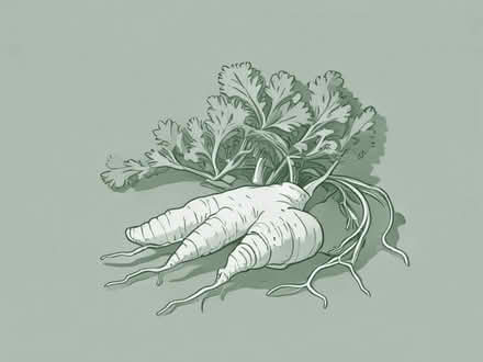 Photo of free Horseradish roots (Wimbledon Village SW19) #1