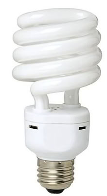 Photo of free Compact Fluorescent Light Bulbs (Boonton) #1