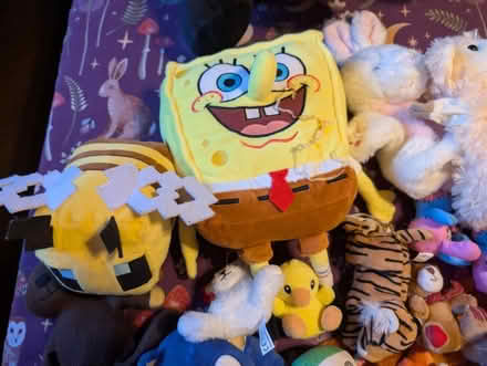 Photo of free Lots of teddies (CB22) #2