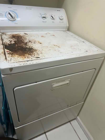 Photo of free Kenmore electric clothes dryer (Plantation) #1